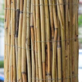 Bamboo Canes-90cm | English Woodlands